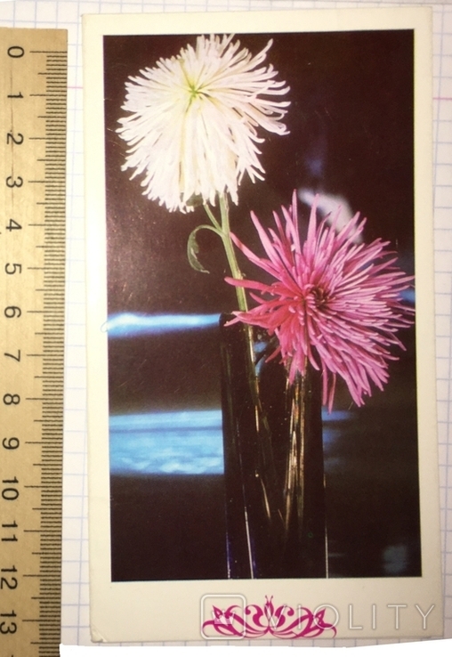 Листівка чиста, подвійна: Квіти у вазі / Болгарія, картина М. Антонової, 1988, фото №2