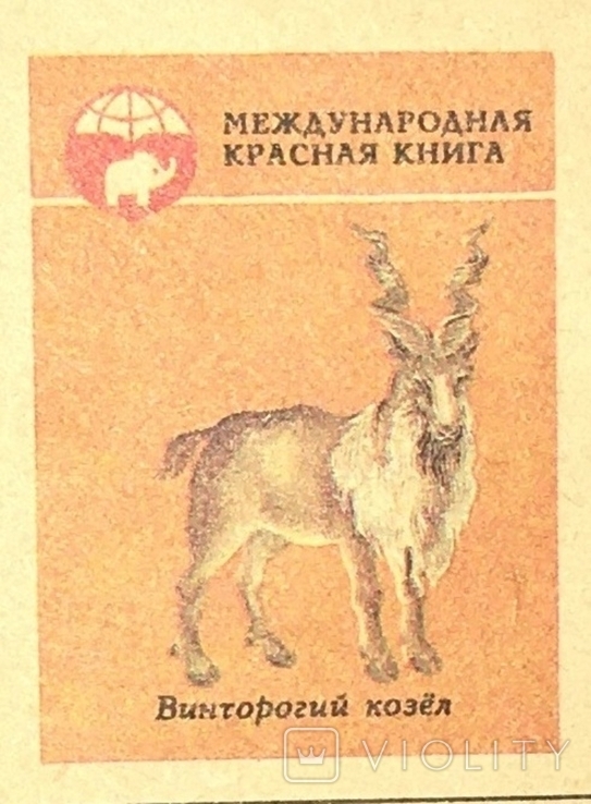 Міжнародна Червона книга NHC, гвинтовий козел / капюшон. О. Дудова, 1985, фото №3