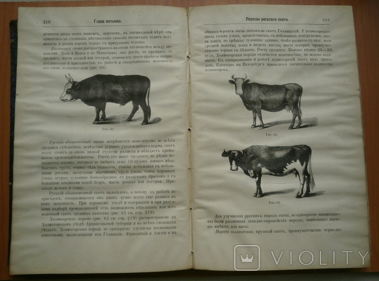 Книга Краткое руководство к сельскому хозяйству 1880, фото №11