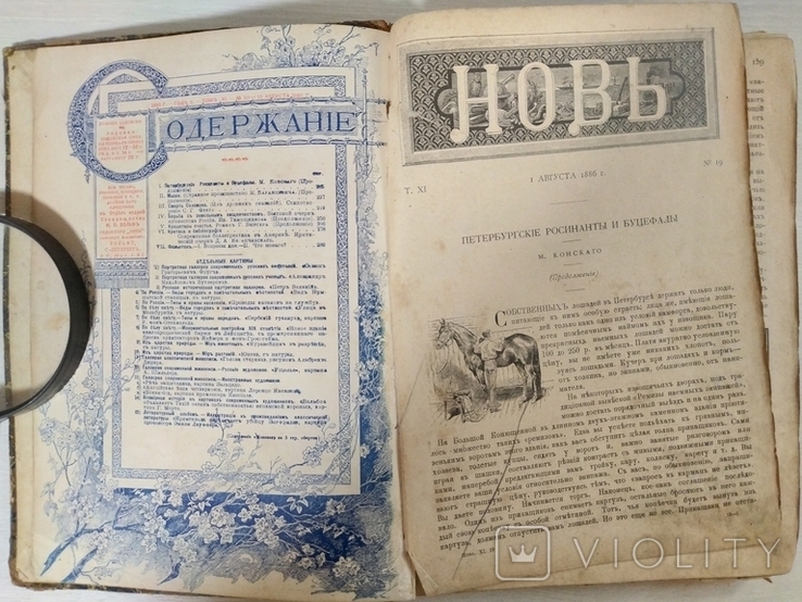 Новь общедоступный иллюст.двухнед.вестник 1886 Т.XI ном.20,Т.IVном.20, фото №8