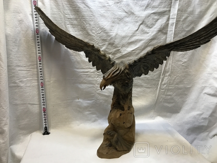Орёл с птенцом размах крыльев 60 см, фото №12