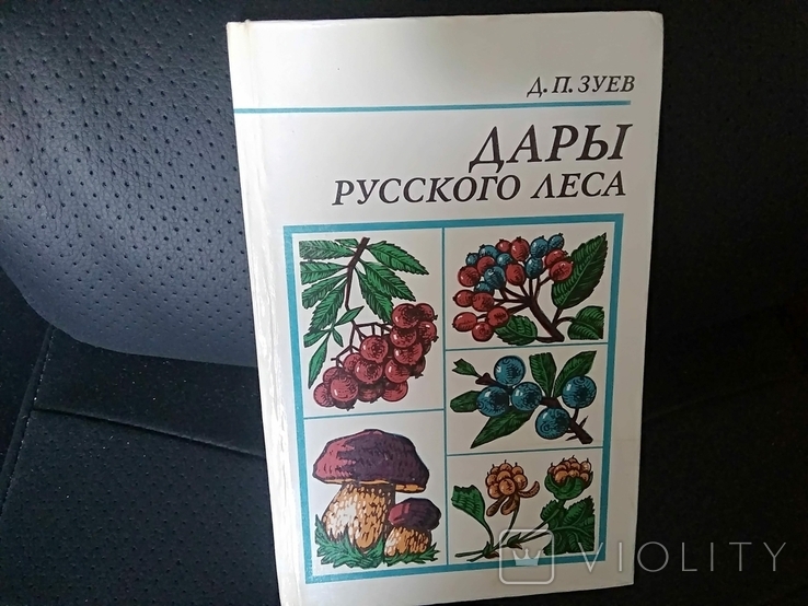 Книга дары русского леса времен СССР