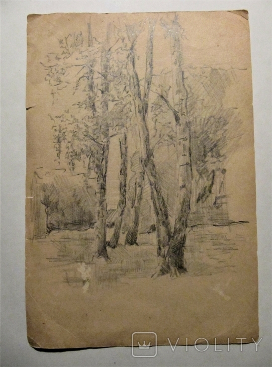 Рисунок, карандаш, В. Волков, фото №2