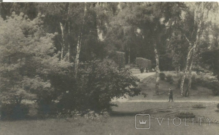 Открытка Львов 1950-е Стрийский парк Львів, фото №2
