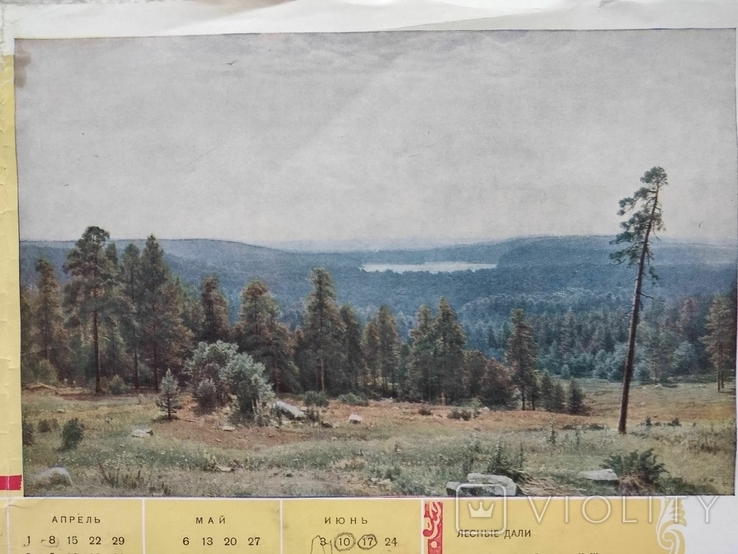 Лесные дали, плакат - календарь на 1957 год, худ. Шишкин, фото №3