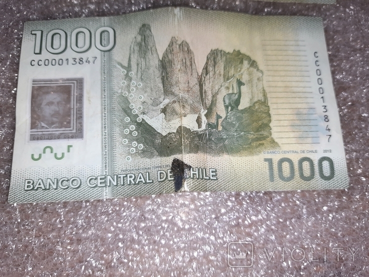 1000 песо Чили 2012 2014, фото №7