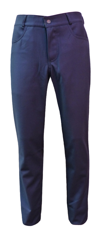 Зимові чоловічі штани на флісі Kostyumka (№6) сині 46 розмір 104246, photo number 2