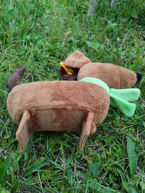  Dog Dachshund 27cm Steiff Steiff Toy Germany, photo number 4