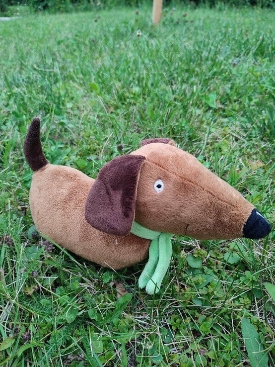  Dog Dachshund 27cm Steiff Steiff Toy Germany, photo number 6