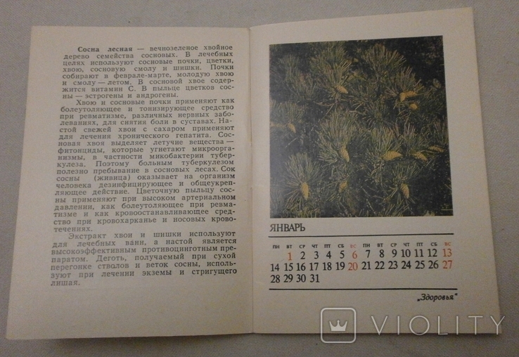 Календарь Лекарственные растения, 1991 г., фото №4