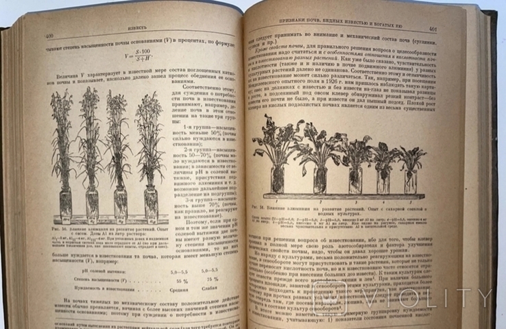 Агрохимия, Академик Прянишников., фото №10