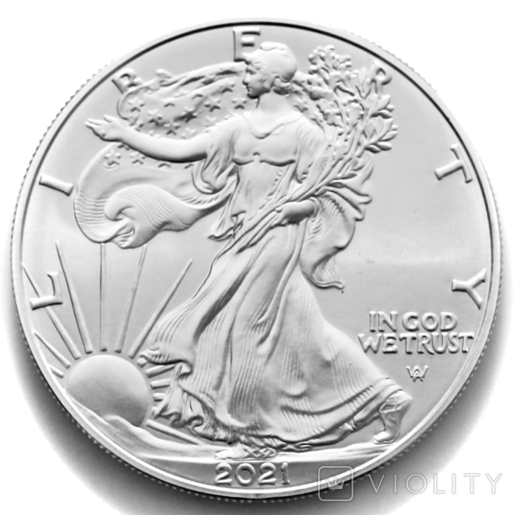 1 доллар. 2021. Американский орел. США (серебро 999, вес 31,1 г), фото №9