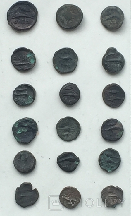 Коллекция монет Ольвии., фото №3