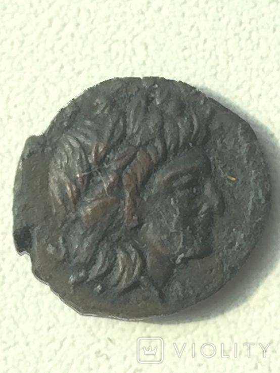Коллекция монет Ольвии., фото №8