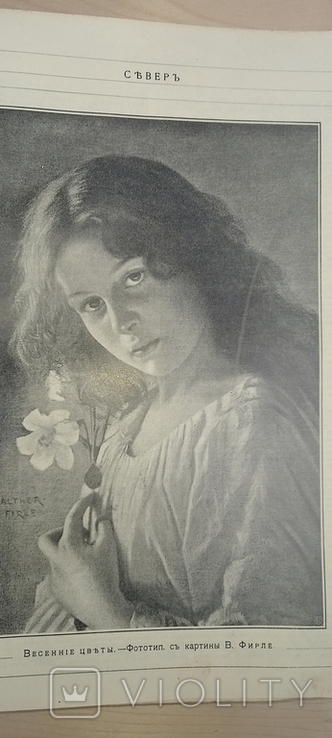 СЕВЕР., еженед. журнал. 1903 г. Годовая подписка, фото №10