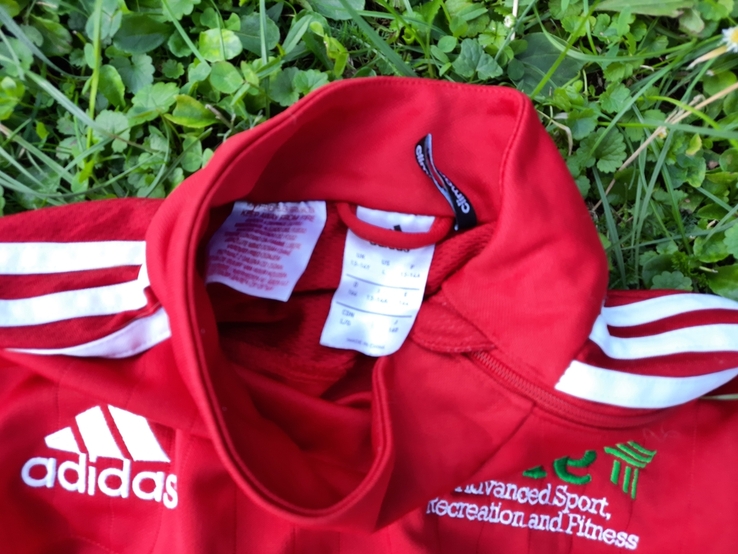 Спортивна кофта Adidas., photo number 3