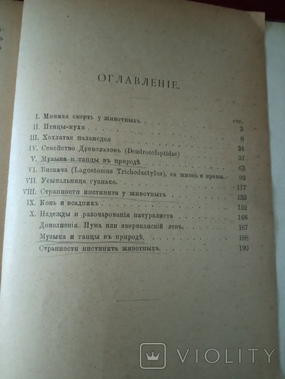 Книга 1897г., фото №6