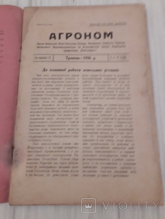 Журнал Агроном.травень 1926 р., фото №4