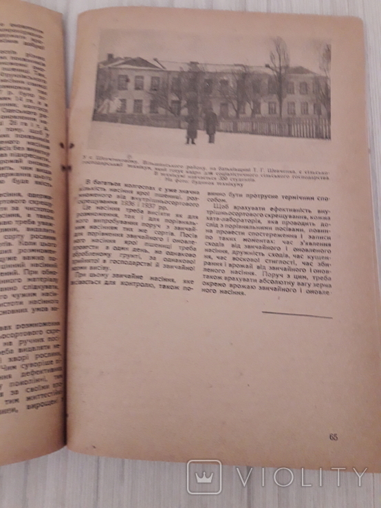 Зернове господарство Київ 1939 р., фото №7