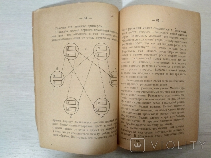 Акад.И.И.Агол Происхождение животных и человека,Киев-1935 тираж 20000экз, фото №11