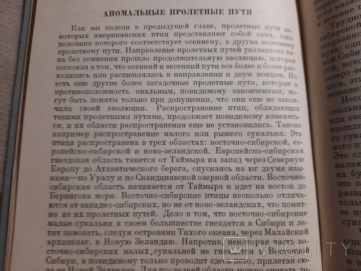 1934 Миграция птиц научно-популярный очерк, фото №5