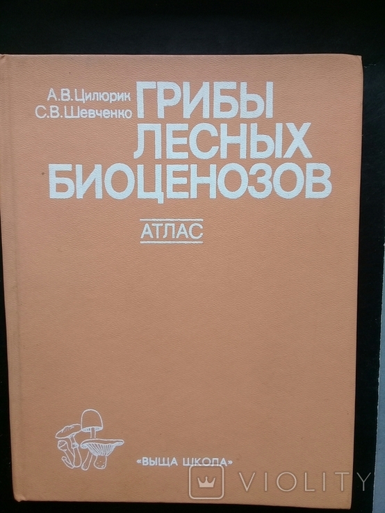 "Грибы лесных биоценозов". Учебное пособие.