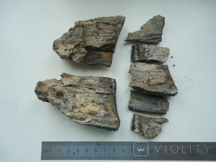 Fragments of a mammoth tooth, photo number 2