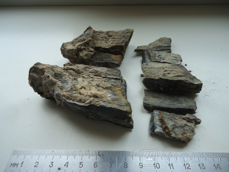 Fragments of a mammoth tooth, photo number 5