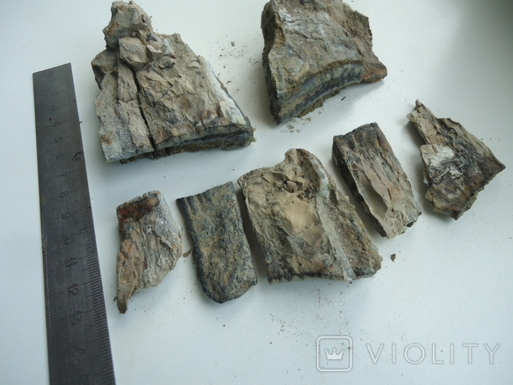 Fragments of a mammoth tooth, photo number 7