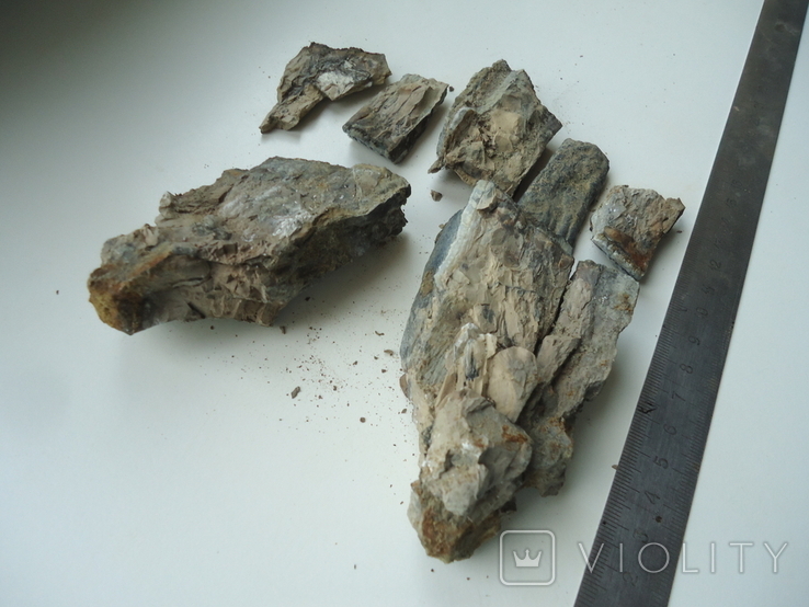 Fragments of a mammoth tooth, photo number 8