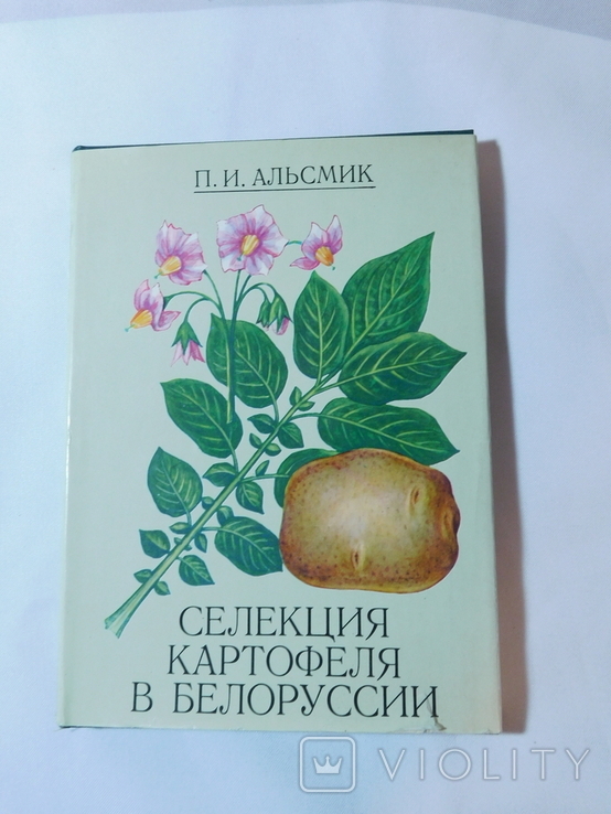 Селекція картоплі в Білорусі. Мінськ 1979, фото №2