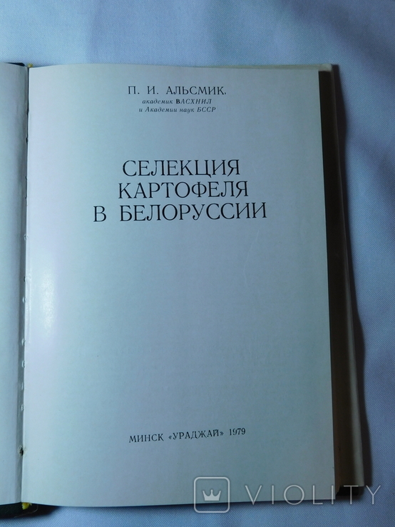 Селекція картоплі в Білорусі. Мінськ 1979, фото №3