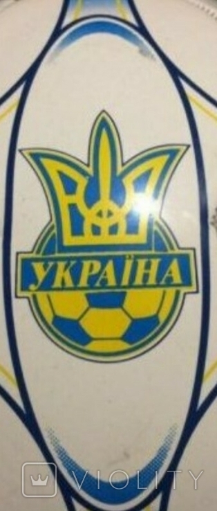 Мяч Януковича, фото №4