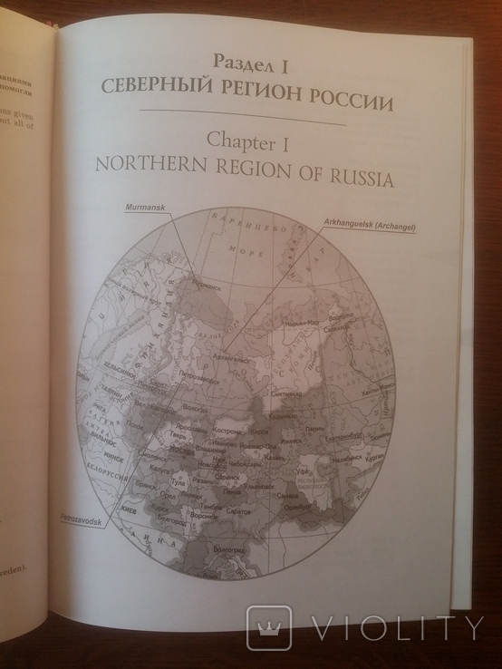 Михаил Истомин Каталог бон гражданской войны в России 1 том, фото №12