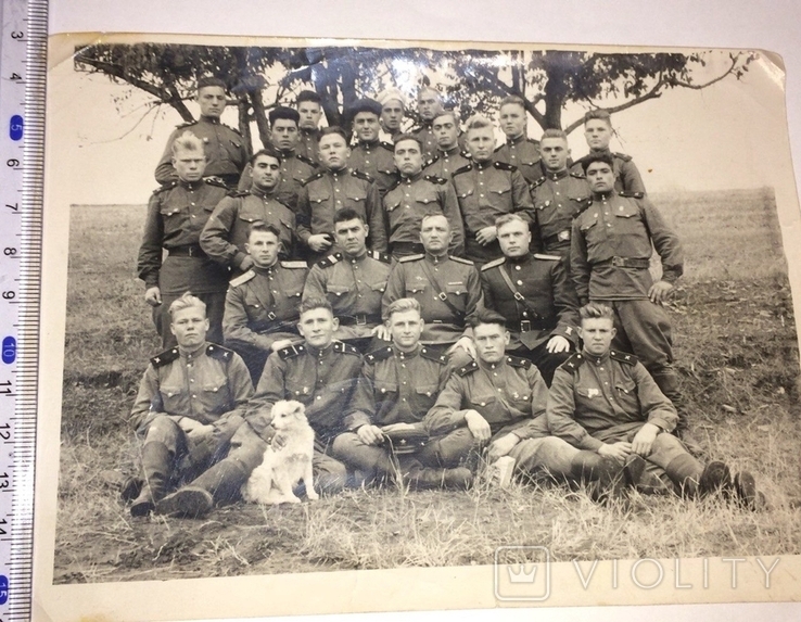 Офицеры с солдатами , групповое фото времён ВОВ. ( форма , медали ), фото №2