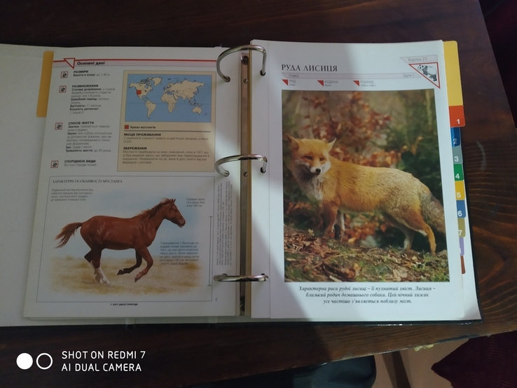 Енциклопедия у Світі дикої природи, photo number 5