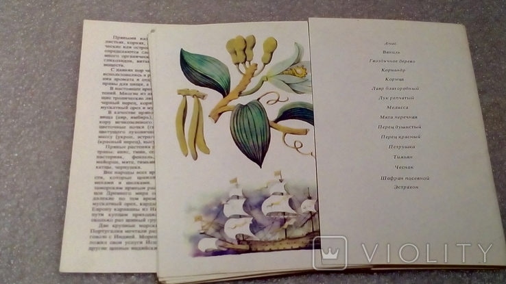 Набор открыток. Из истории пряных растений.1986 г. (Комплект), фото №5