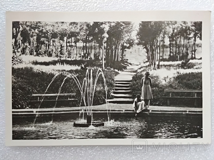 Uman.Arboretum Sofia.4pcs.1961r.T.-5t.+photo+2old clippings., photo number 3