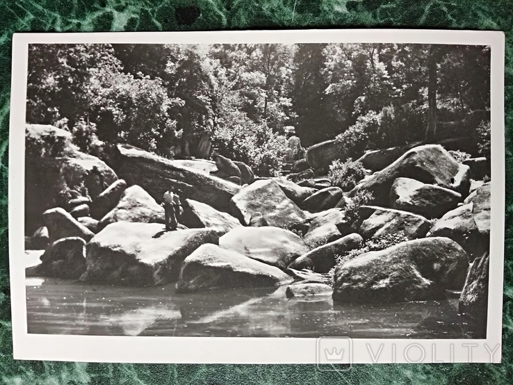 Uman.Arboretum Sofia.4pcs.1961r.T.-5t.+photo+2old clippings., photo number 7