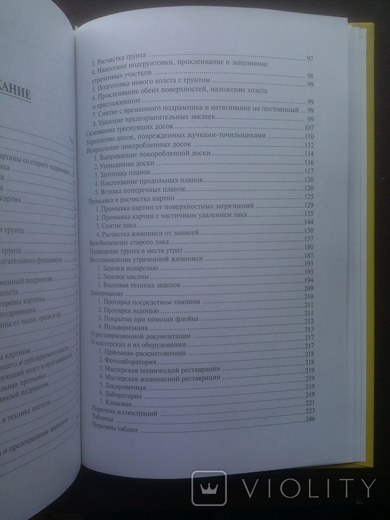 Техника реставрации картин Кудрявцев Москва 2002 год, фото №8