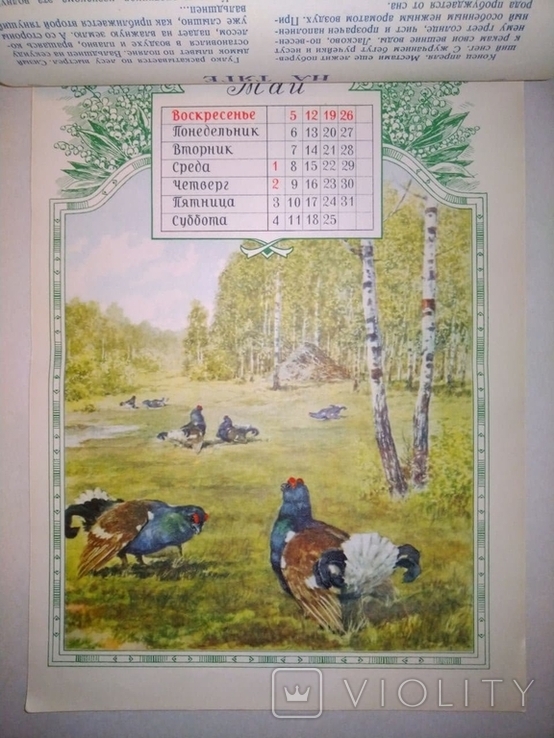Календарь охотника и рыболова-спортсмена на 1957 год, фото №4