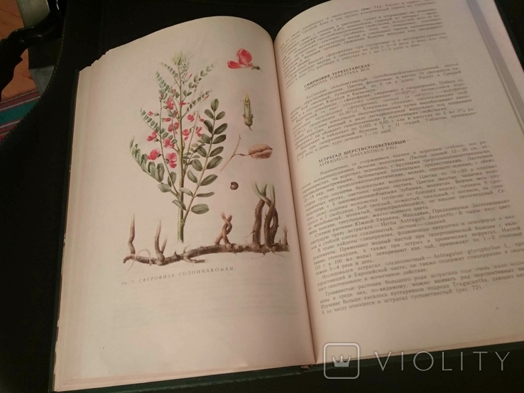 Книга дикорастущие лекарственные растения СССР, фото №8