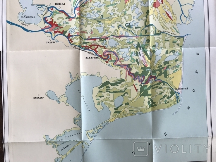 1964 Odessa region Izmail Kiliya Vilkovo Vegetation map, photo number 4