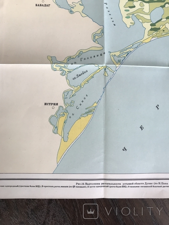 1964 Odessa region Izmail Kiliya Vilkovo Vegetation map, photo number 8
