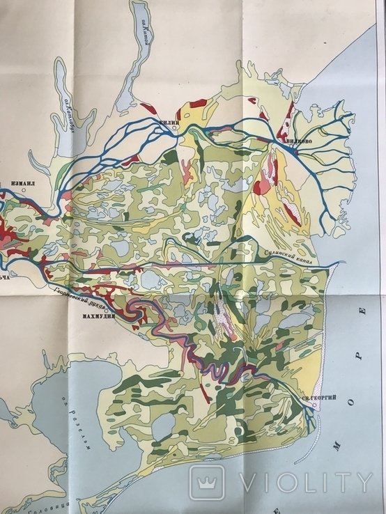 1964 Odessa region Izmail Kiliya Vilkovo Vegetation map, photo number 9