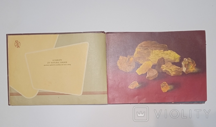 1960, альбом "Янтарный комбинат", Калининград, 50 лист., 1 ед., фото №7