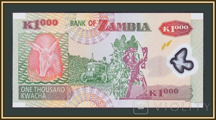 Замбия 1000 квача 2008 P-44 (44f), фото №3