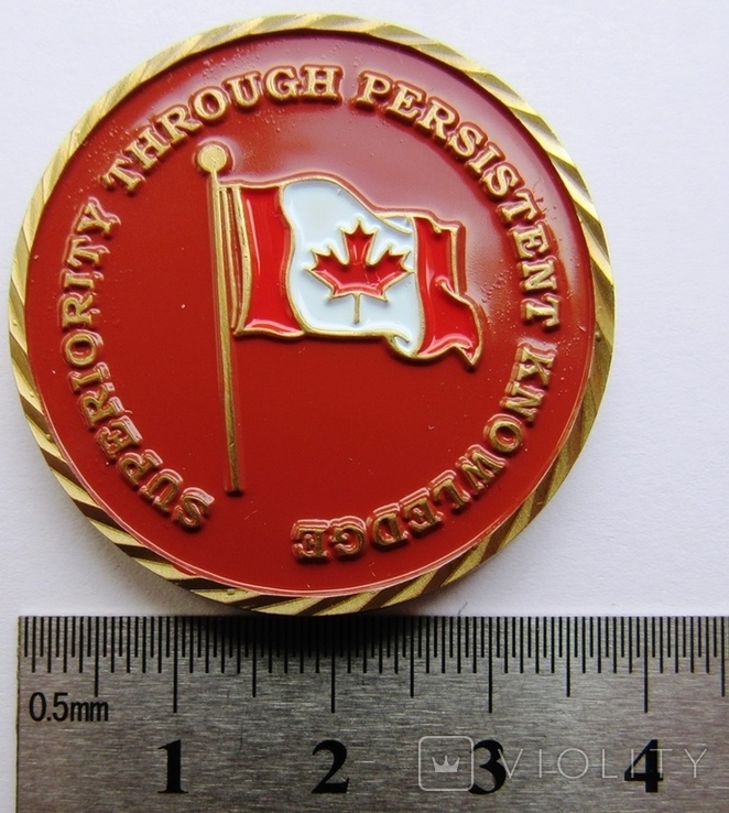 Канада, медаль волонтеров "Троица" 1985 г., numer zdjęcia 4