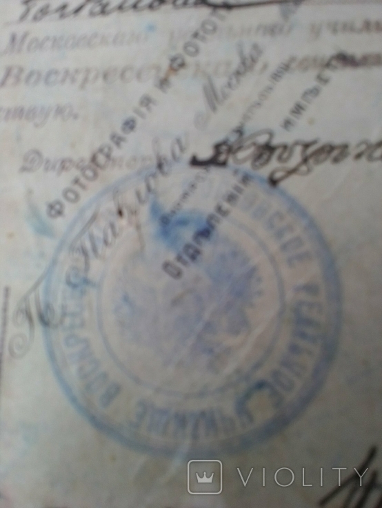 Photo of the son of the Court Counselor and identity card of 1913 (wet royal seal), photo number 10