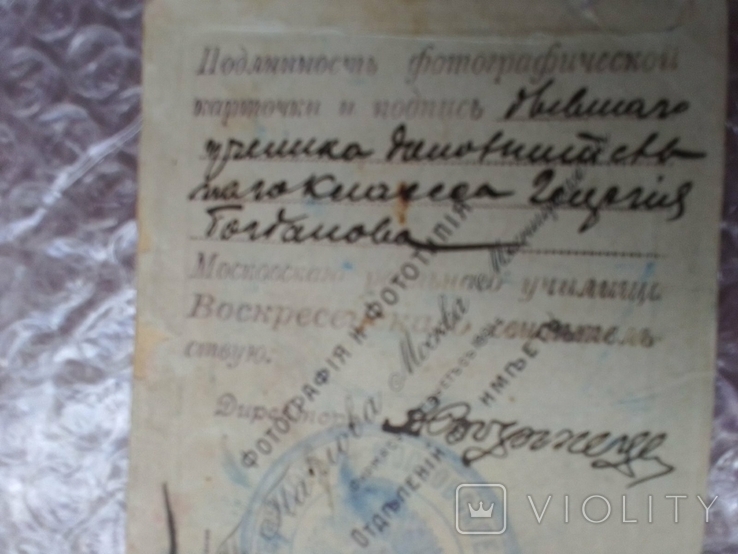 Photo of the son of the Court Counselor and identity card of 1913 (wet royal seal), photo number 11